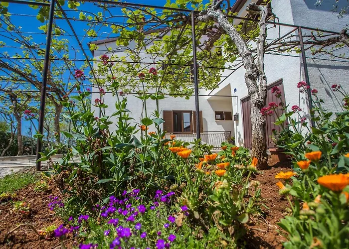 Porec Accommodation *