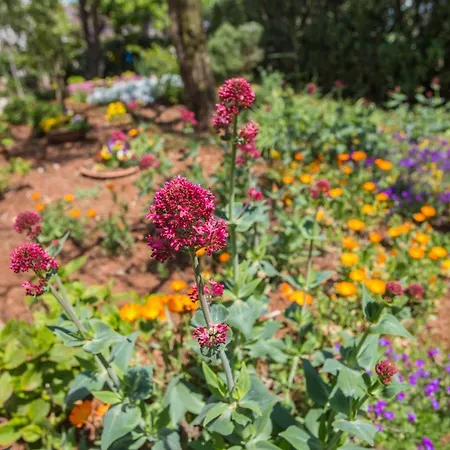 Apartament Porec Accommodation *