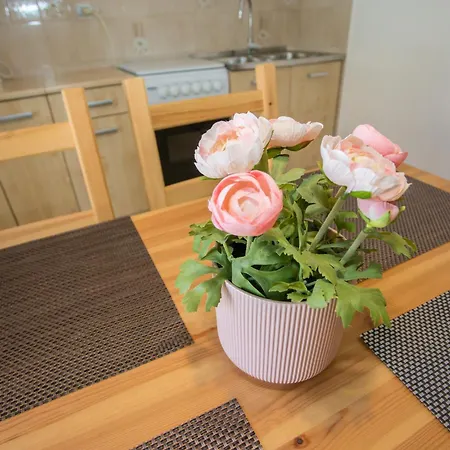 Porec Accommodation
