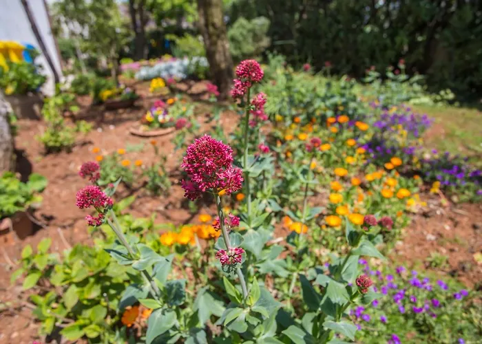 아파트 Porec Accommodation *