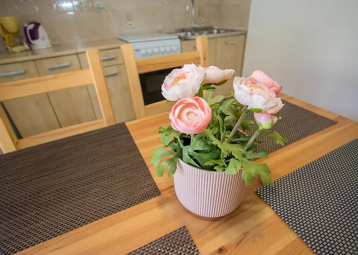 Porec Accommodation